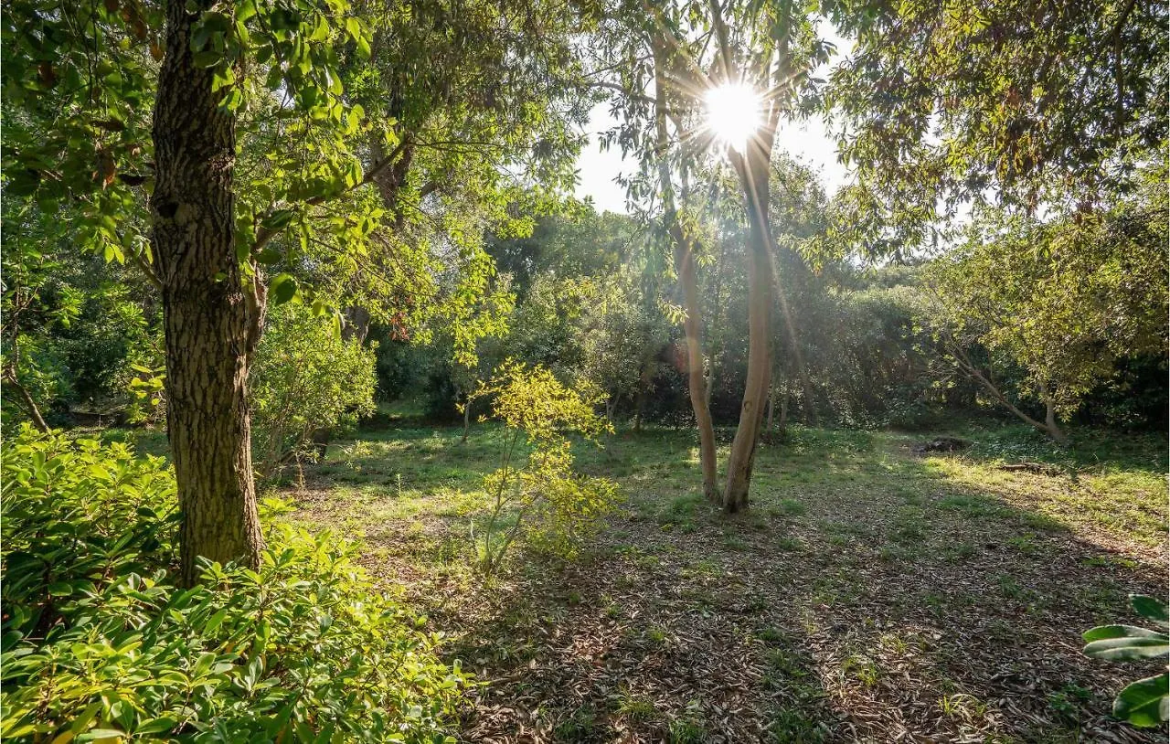 Prázdninový dům Villa La Pergola Punta Ala